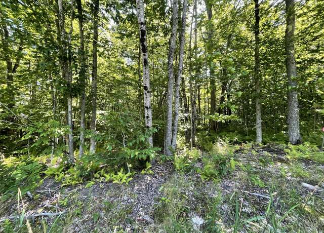 Property at M6 L1 Tower Rd, Vienna, ME 04360