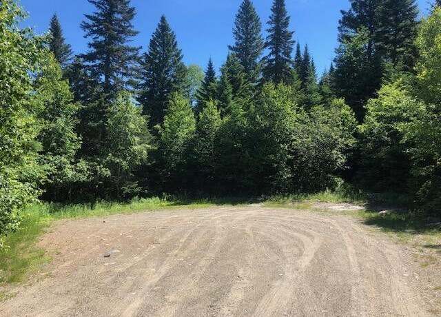 Property at Lot 58 Left Br, Sandy River Plt, ME 04970