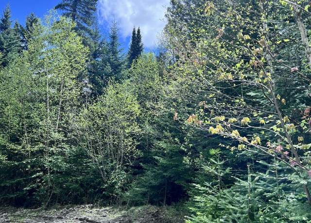 Property at Lot 58 Left Br, Sandy River Plt, ME 04970