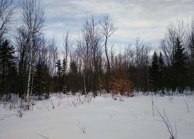 Property at map2lot10 Pinkham Rd, Alton, ME 04468