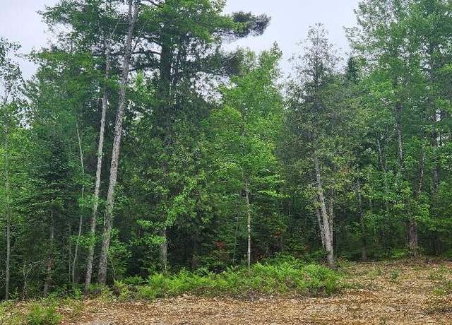 Property at map2lot10 Pinkham Rd, Alton, ME 04468