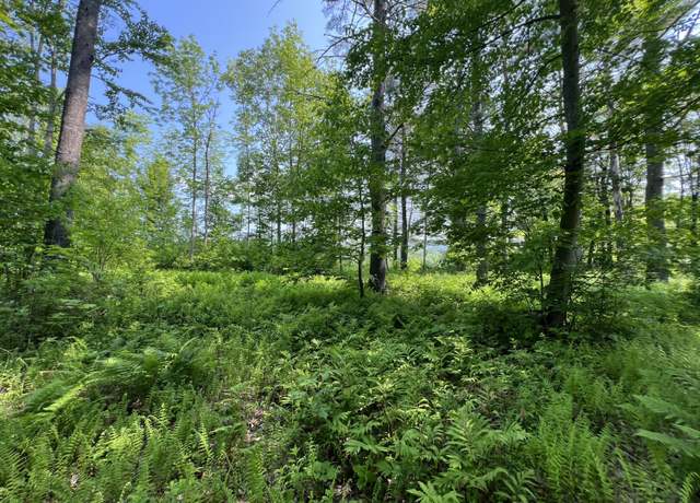 Property at Lot  19A Intervale Rd, Bethel, ME 04217