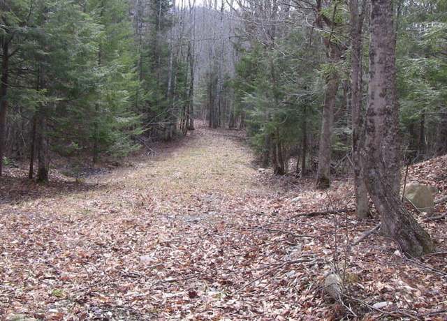 Property at Lot 33.2 Sawyers Mills Rd, Starks, ME 04911