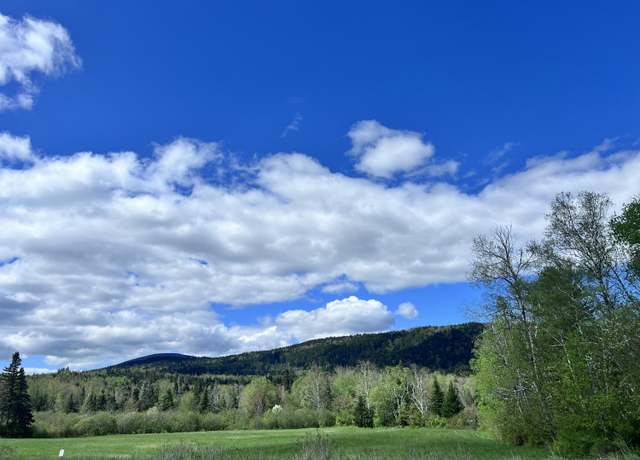 Property at Map 1/Lot5 Main St, Sandy River Plt, ME 04970