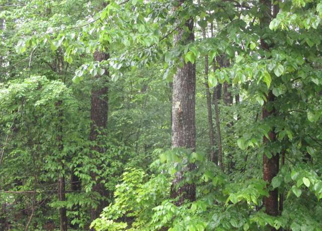 Property at Lot 8 Northwood Ests, Sebago, ME 04029