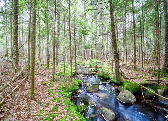 Property at Lot 3 Bear Springs Ln, Surry, ME 04684