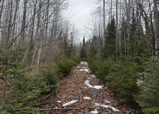 Property at M9 L19-A-1 Off Deer Run Rd, Stetson, ME 04488