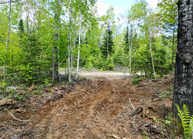 Property at Lot 12-1A Hale Farm Rd, Lee, ME 04455