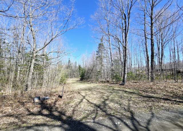 Property at 137 E Gulch Rd, Thorndike, ME 04986