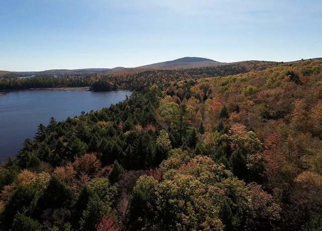 Property at Lot 77-7 Cabot Trl, Dedham, ME 04429