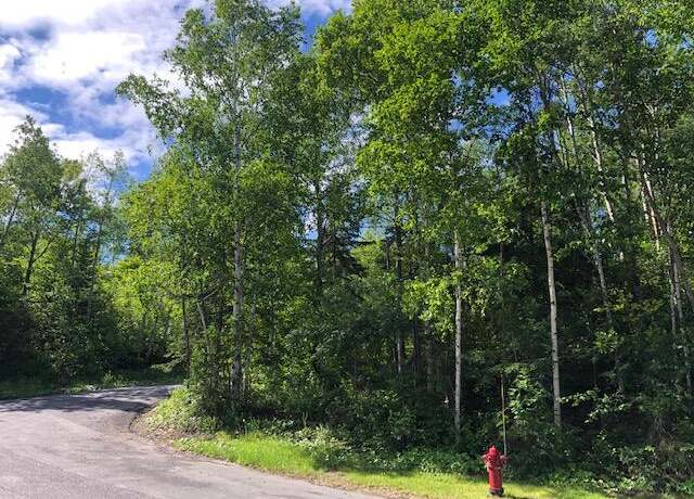 Property at Lot 94 Winter St, Madawaska, ME 04756