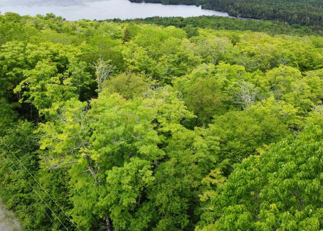 Property at Lot 3 Hilltop Dr, Greenville, ME 04441