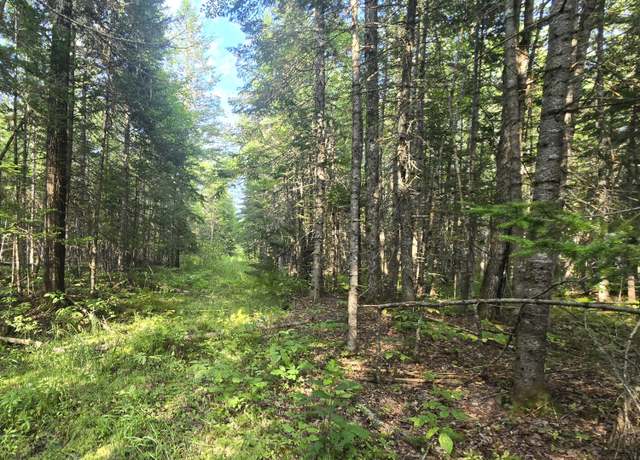 Property at TBD Cummings Ln, Alton, ME 04468