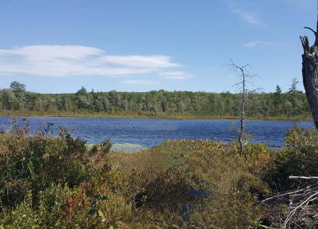 Property at M4 96 & 99 Parker Pond Rd, Jay, ME 04239