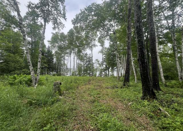 Property at 1 Puffins Ln, Machiasport, ME 04655