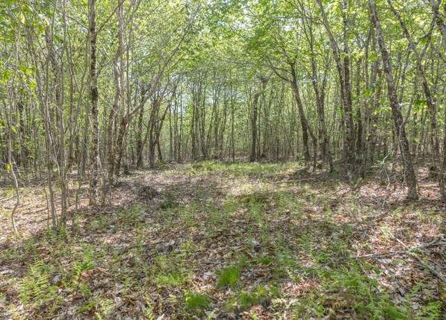 Property at M6, L3 Beech Hill Pond Rd, Dedham, ME 04429