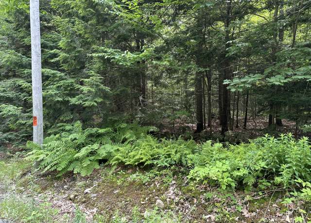 Property at TBD Dingley Rd, Bowdoinham, ME 04008