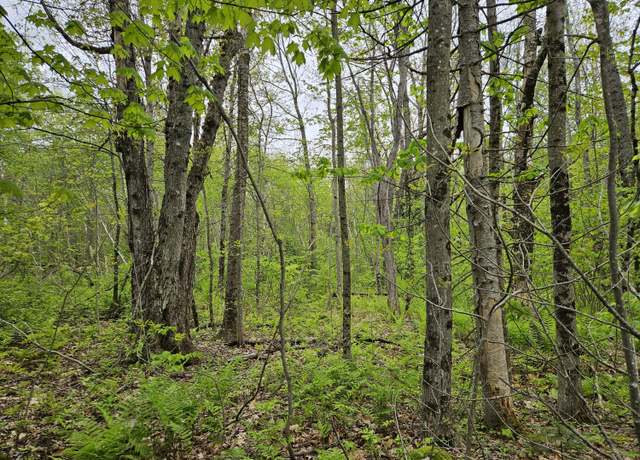 Property at 681 Mile Hill Rd, New Sharon, ME 04955