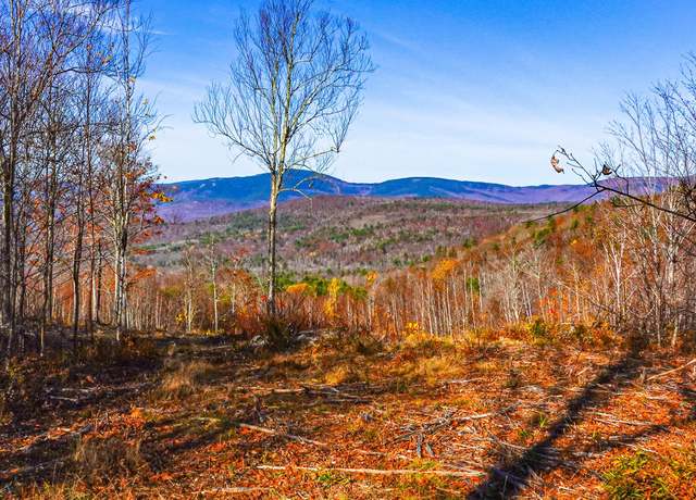 Property at Lot 4 Mine Rd, Stoneham, ME 04231
