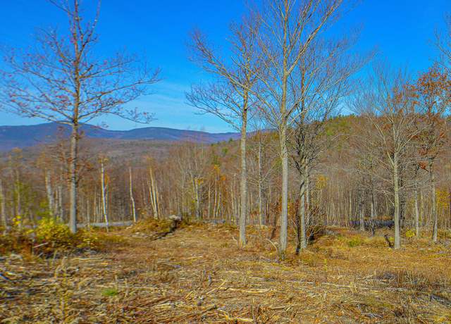 Property at Lot 13 Mine Rd, Stoneham, ME 04231