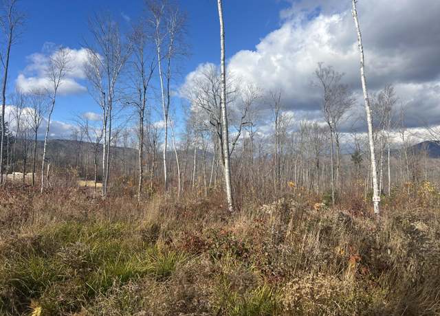 Property at Lot 4B Harmony Row, Bethel, ME 04217