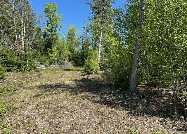 Property at Lot 2 Mt. Jefferson Hts, Lee, ME 04455
