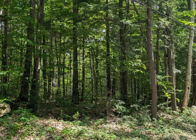 Property at lot 36-C Diller Line, Chesterville, ME 04938