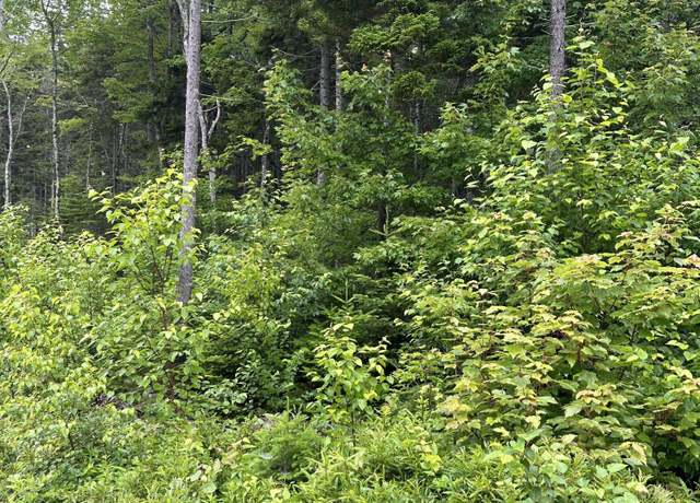 Property at Lot 44 Estates Rd, Steuben, ME 04680