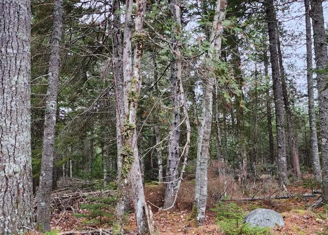 Property at 52 Harls Camp Rd, Jonesboro, ME 04634