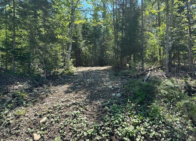 Property at Lot 9 Mt. Jefferson Hts, Lee, ME 04455