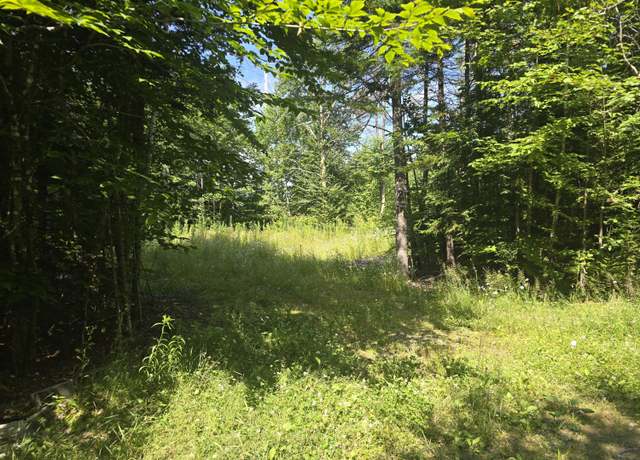 Property at Lot 36-3 Partridge Ln, Linneus, ME 04730
