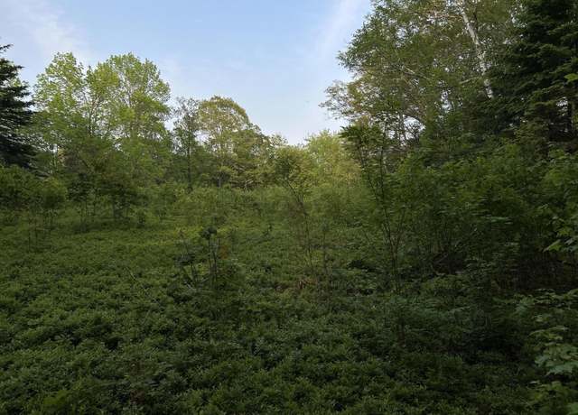 Property at M6L54 Bristol Rd, Bristol, ME 04539