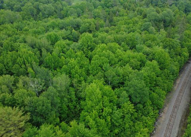 Property at Lot 19 Old Codyville Rd, Lambert Lake Twp, ME 04454
