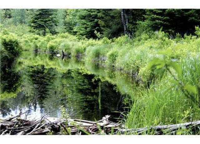 Property at Map 3 - 30 Marshfield Flats Rd, Marshfield, ME 04654