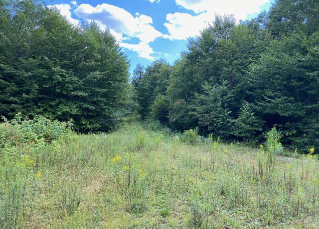 Property at Lot WA1 Partridge Knl, Cathance Twp, ME 04628