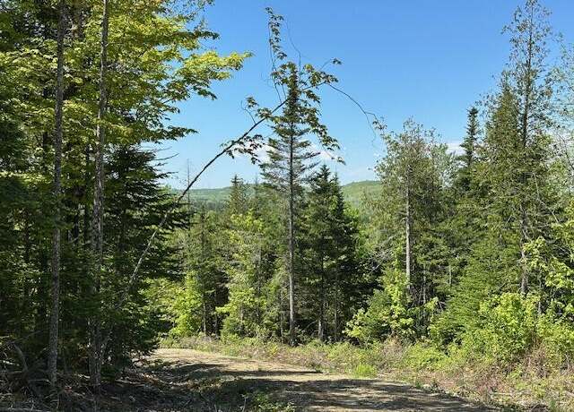 Property at Lot 10 Mt. Jefferson Hts, Lee, ME 04455