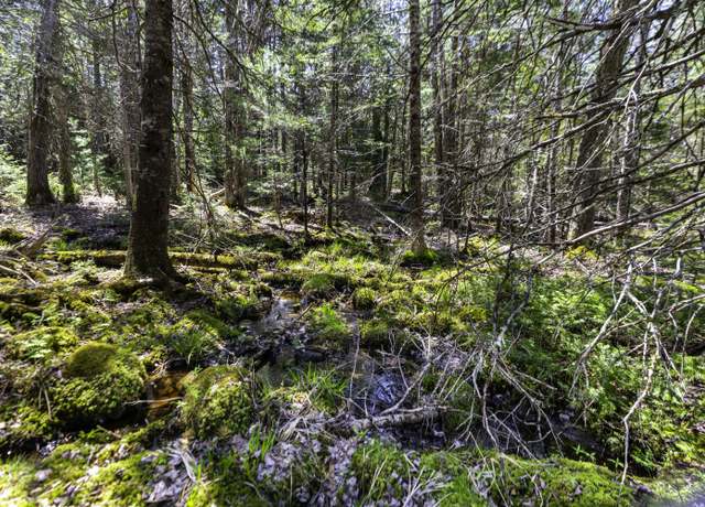 Property at Lot 38 Arrowhead Rd, Bar Harbor, ME 04609