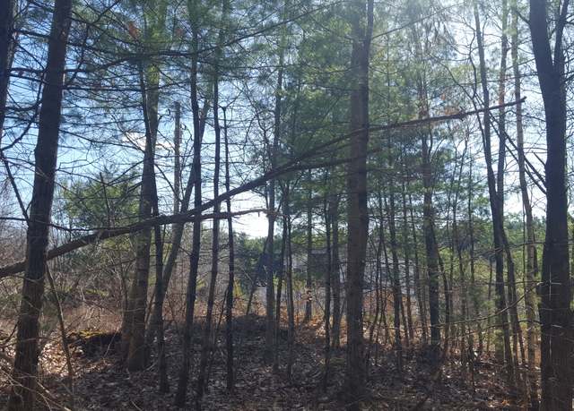 Property at 79 Mitchell Hill Road Rd, Gorham, ME 04038