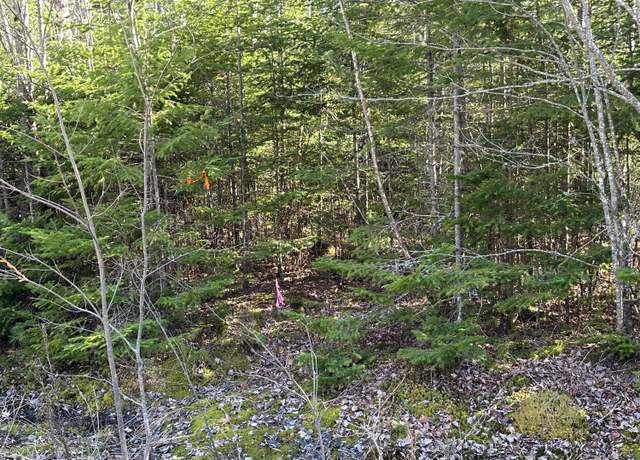Property at Lot 14 Merganser Dr, Gouldsboro, ME 04607