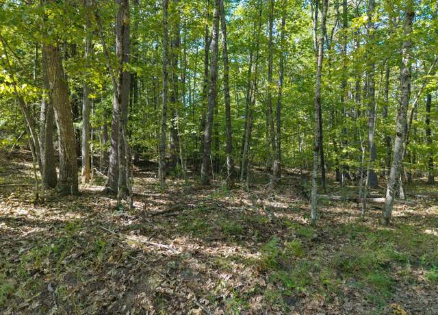Property at Mp44Lt270 Silver Ln, Limerick, ME 04048