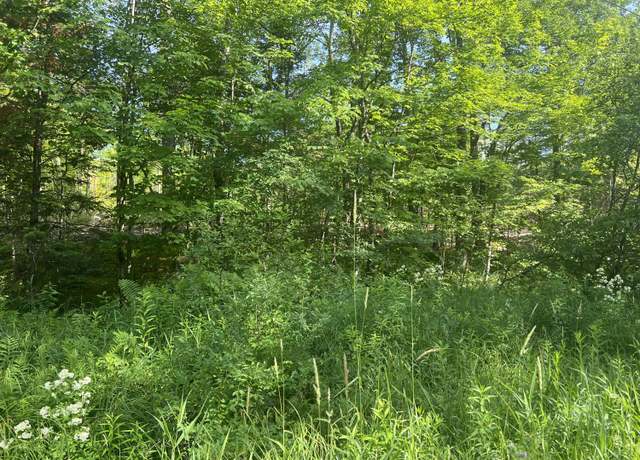 Property at Lot #1 Intervale Rd, Bethel, ME 04217
