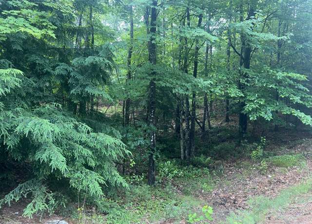 Property at Lot #1 Intervale Rd, Bethel, ME 04217