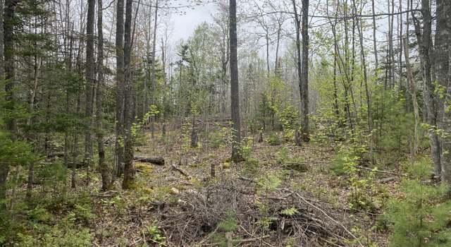 Photo of Lot 5 Pret's Meadow Ln, Blue Hill, ME 04614