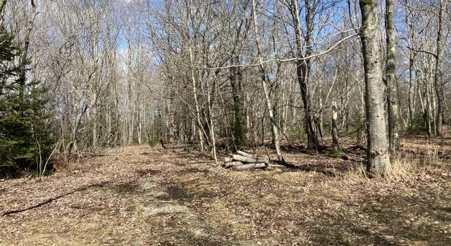 Photo of Lot 066 Eastside Rd, Hancock, ME 04640