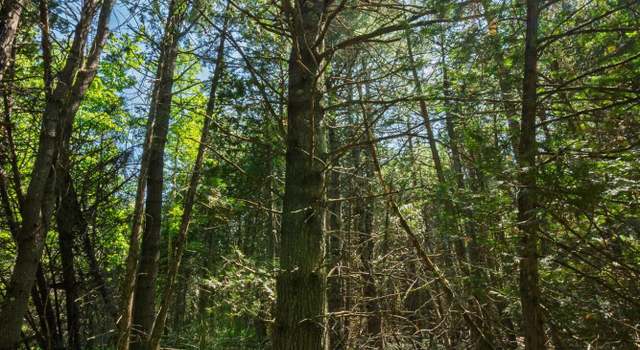 Photo of Lot 8 Murray Rd, Newport, ME 04953