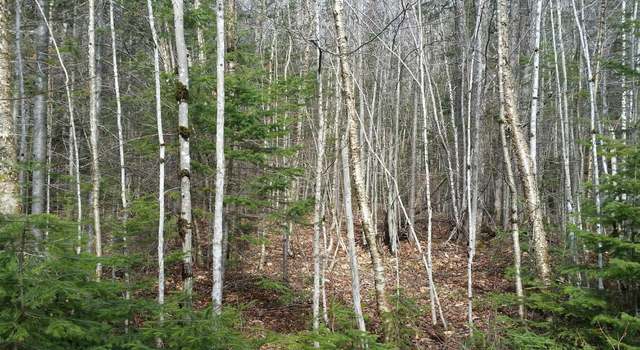 Photo of M15, Lot11 Edelheid Rd, Sandy River Plt, ME 04970