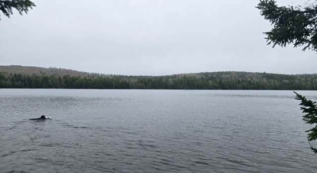 Photo of Lot  M Howard Lake Rd, Robbinston, ME 04671