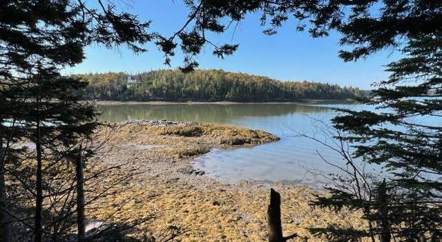 Photo of Lot 13 Collins Cove Rd, Machiasport, ME 04655