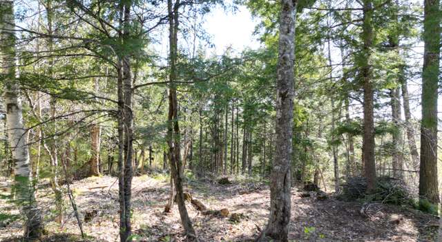 Photo of TBD Bottle Lake Rd, Lakeville, ME 04487