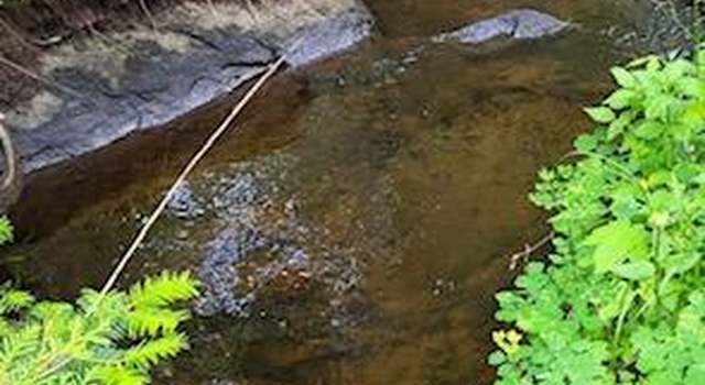 Photo of Lot 10 Morrison Brook Acres, Oakfield, ME 04763